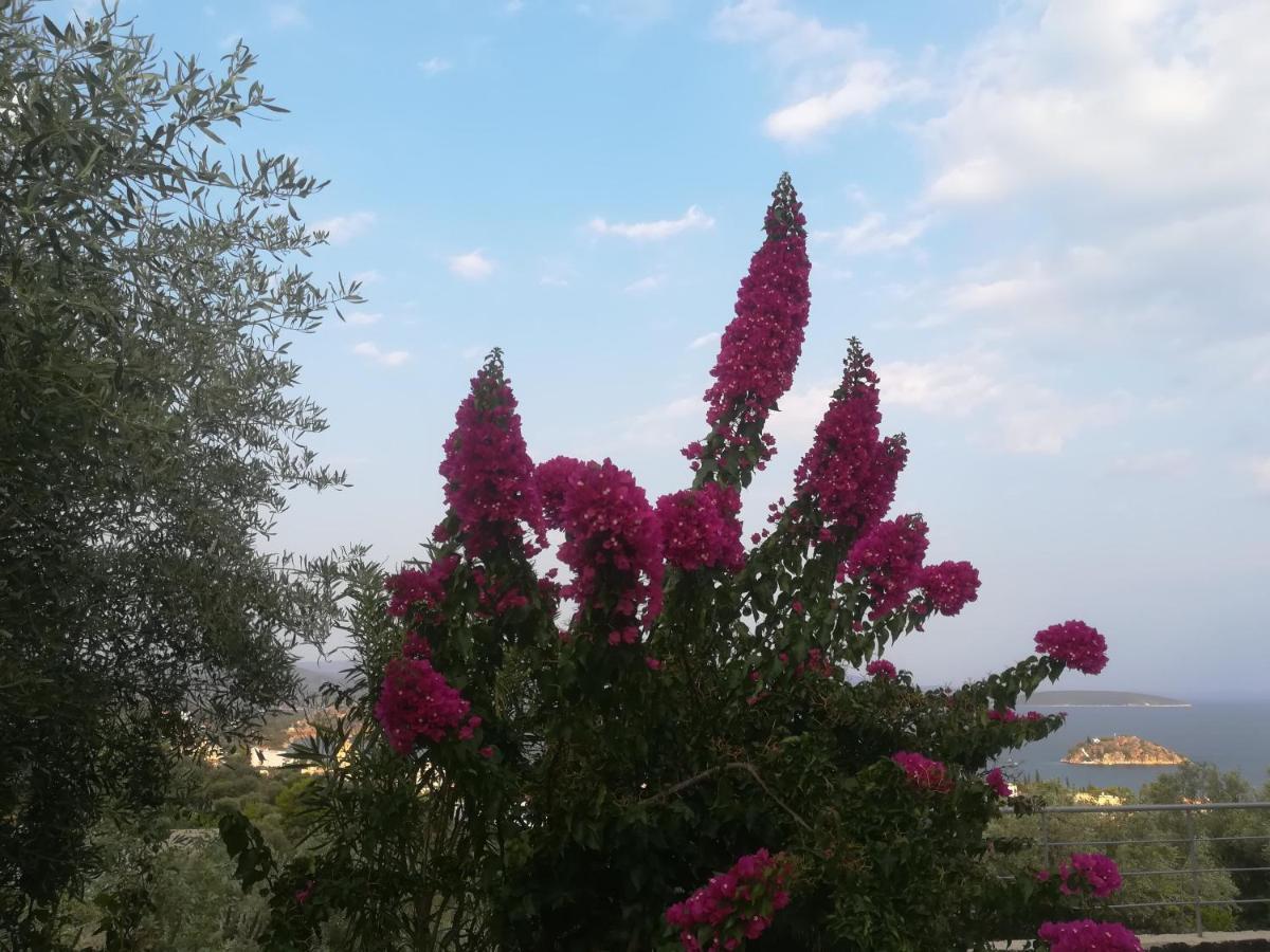 Πέτρα, Ελιά Και Λεβάντα Vila Tolón Exterior foto