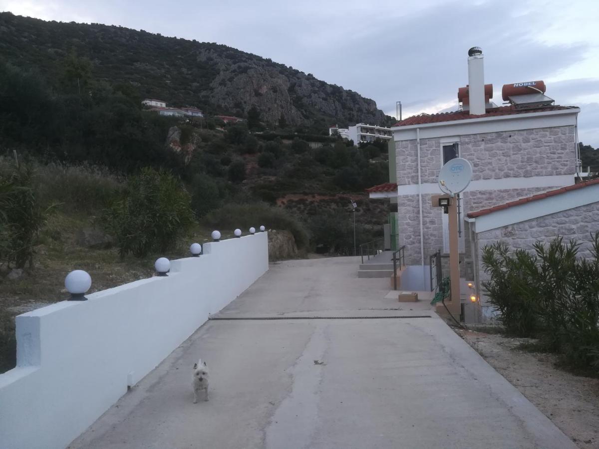 Πέτρα, Ελιά Και Λεβάντα Vila Tolón Exterior foto
