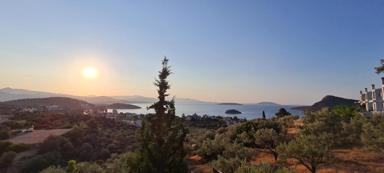 Πέτρα, Ελιά Και Λεβάντα Vila Tolón Exterior foto