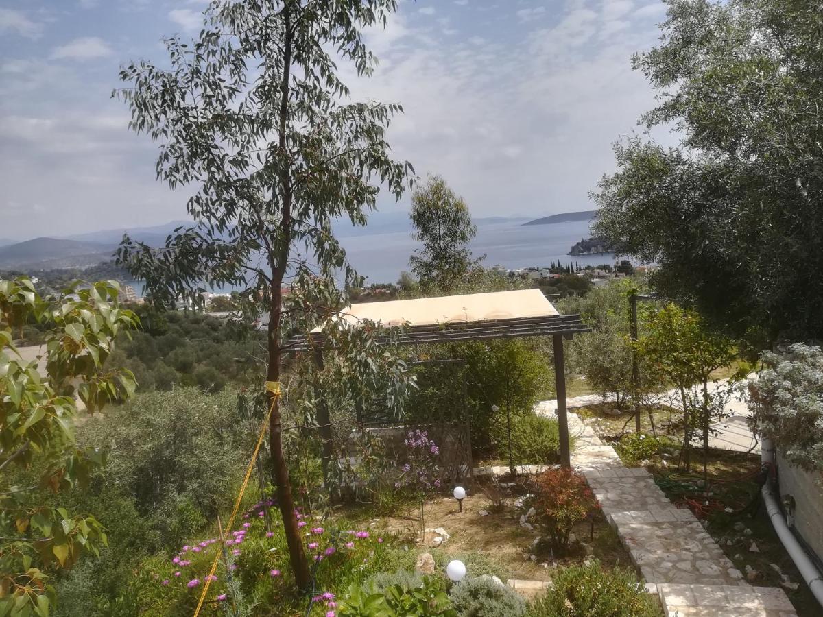 Πέτρα, Ελιά Και Λεβάντα Vila Tolón Exterior foto