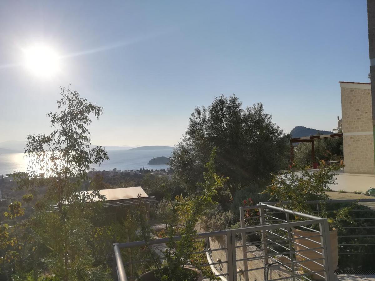 Πέτρα, Ελιά Και Λεβάντα Vila Tolón Exterior foto