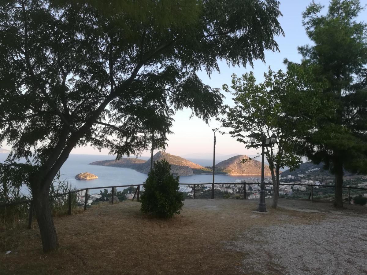 Πέτρα, Ελιά Και Λεβάντα Vila Tolón Exterior foto