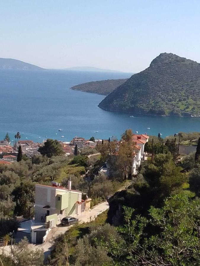 Πέτρα, Ελιά Και Λεβάντα Vila Tolón Exterior foto