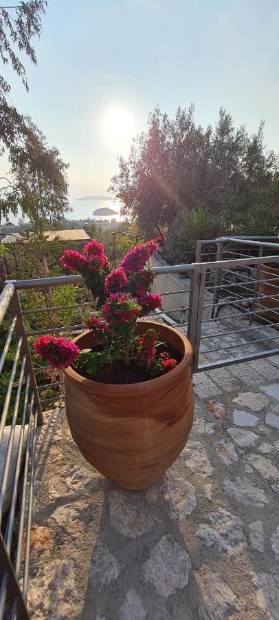 Πέτρα, Ελιά Και Λεβάντα Vila Tolón Exterior foto