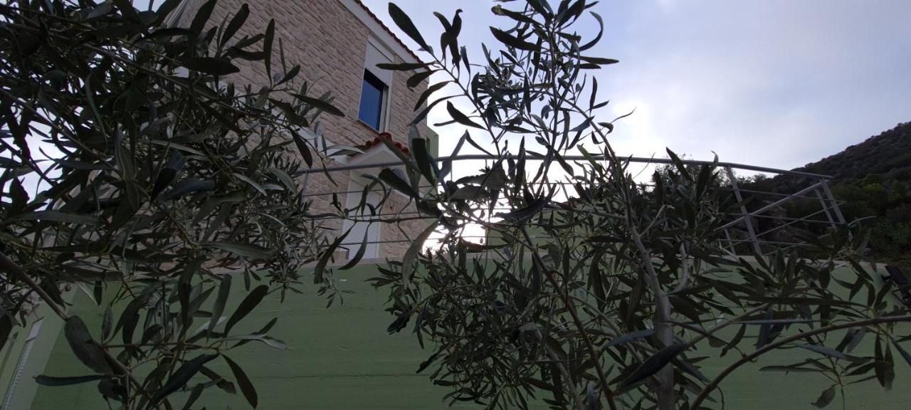 Πέτρα, Ελιά Και Λεβάντα Vila Tolón Exterior foto