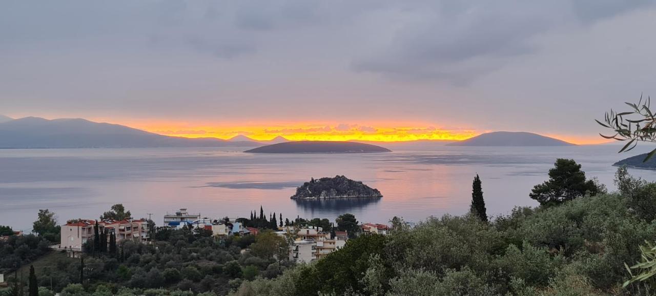 Πέτρα, Ελιά Και Λεβάντα Vila Tolón Exterior foto