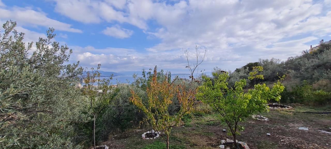 Πέτρα, Ελιά Και Λεβάντα Vila Tolón Exterior foto